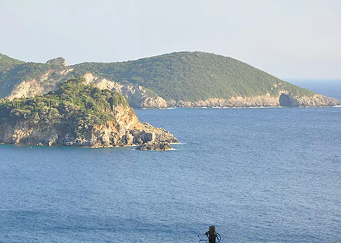 Апартаменты Kiki Палеокастрица